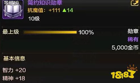 DNF2025暗枪勋章选择全解析：荣誉、守护还是贪欲？