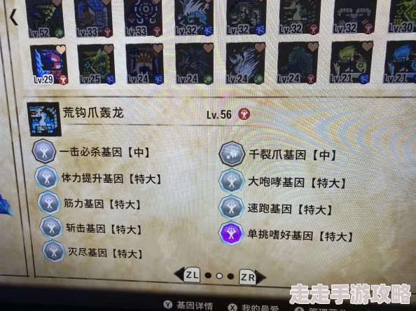 怪物猎人高效刷取基因攻略：揭秘哪些基因更易获得与搭配推荐