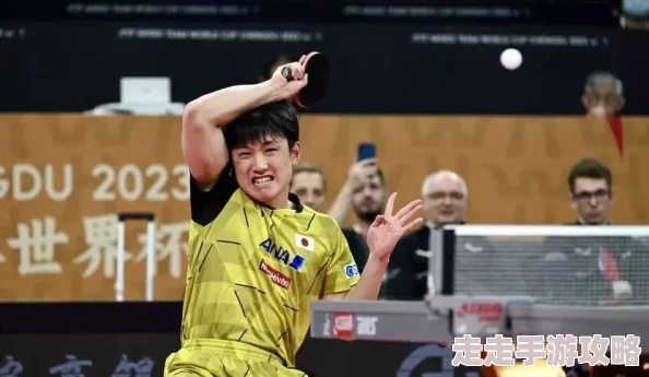 2024最不容错过的二战经典手游大揭秘：二战主题游戏合集