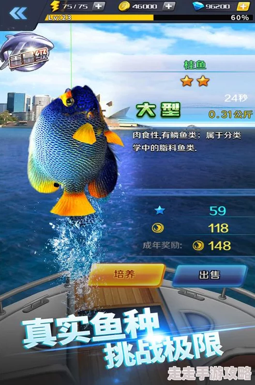 2024年精选！免费的单机打鱼游戏与流行钓鱼手游前五名合集