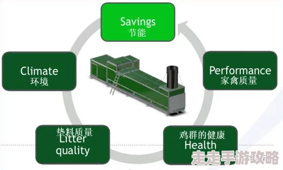 2025年热门科技：详解时空能量罐与时空立方的高效使用方法