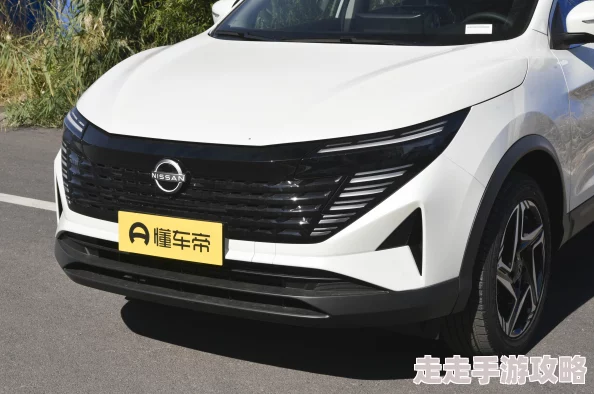 2025年荣誉点数低于80？高效提升荣誉点数方法与技巧